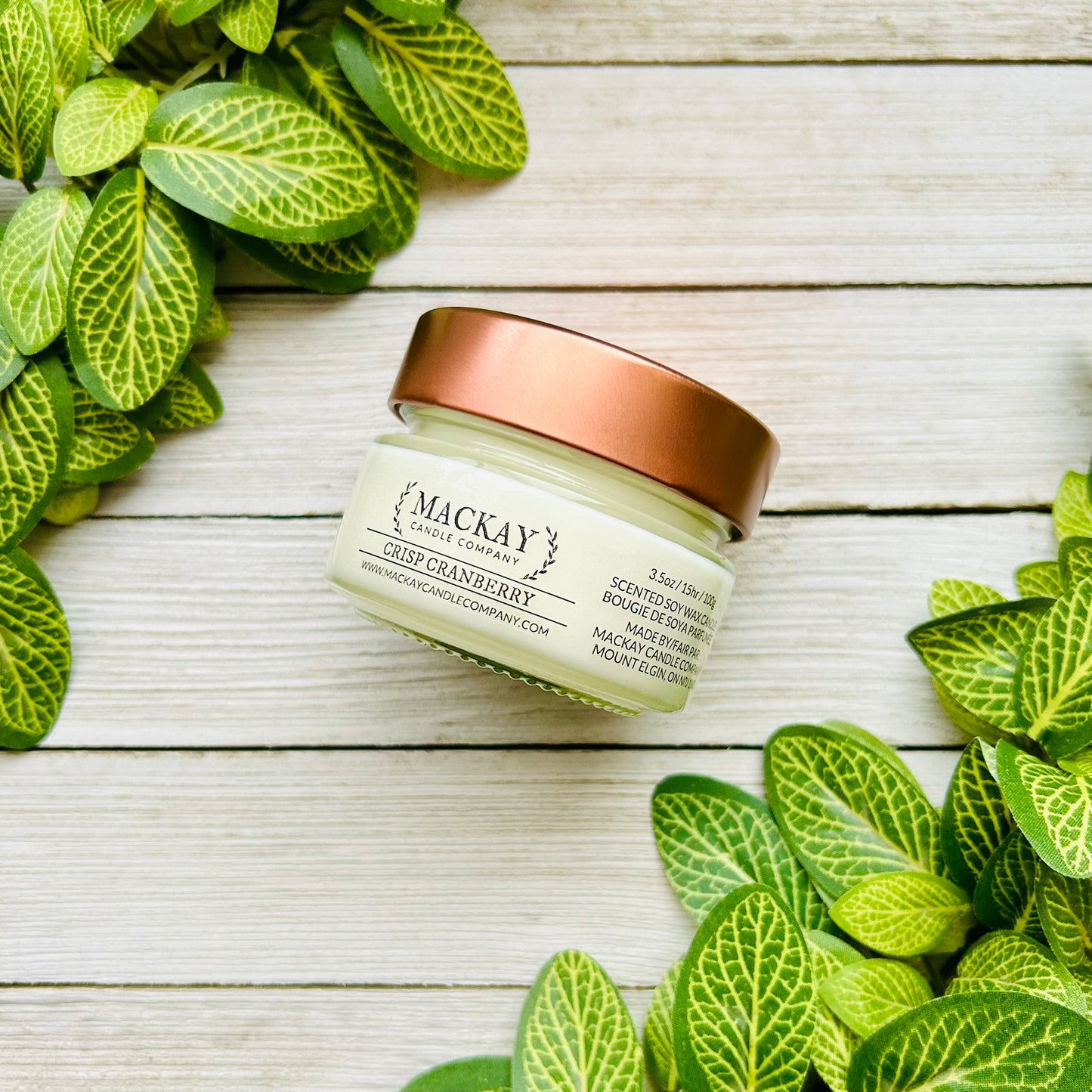 Crisp Cranberry Small Library Jar