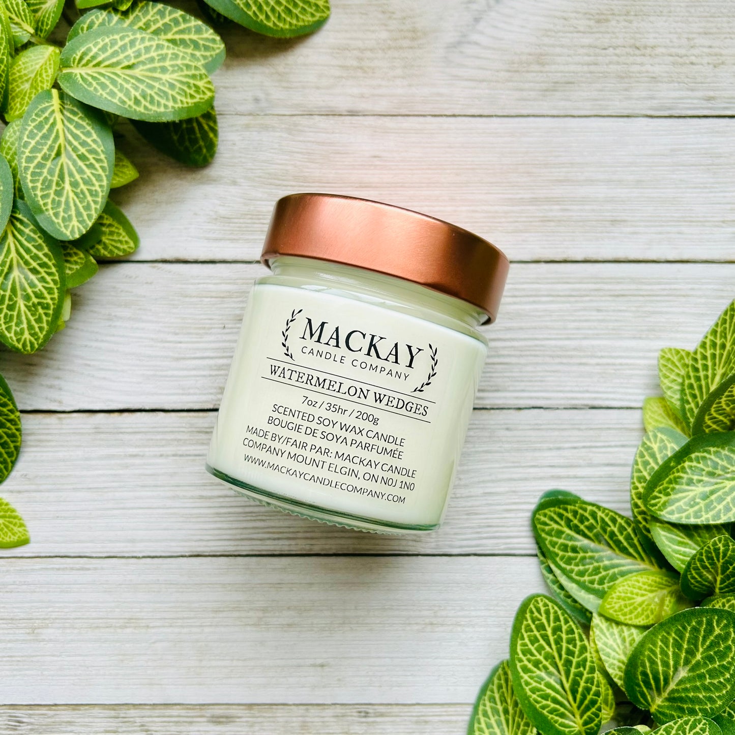 Watermelon Wedges Medium Library Jar