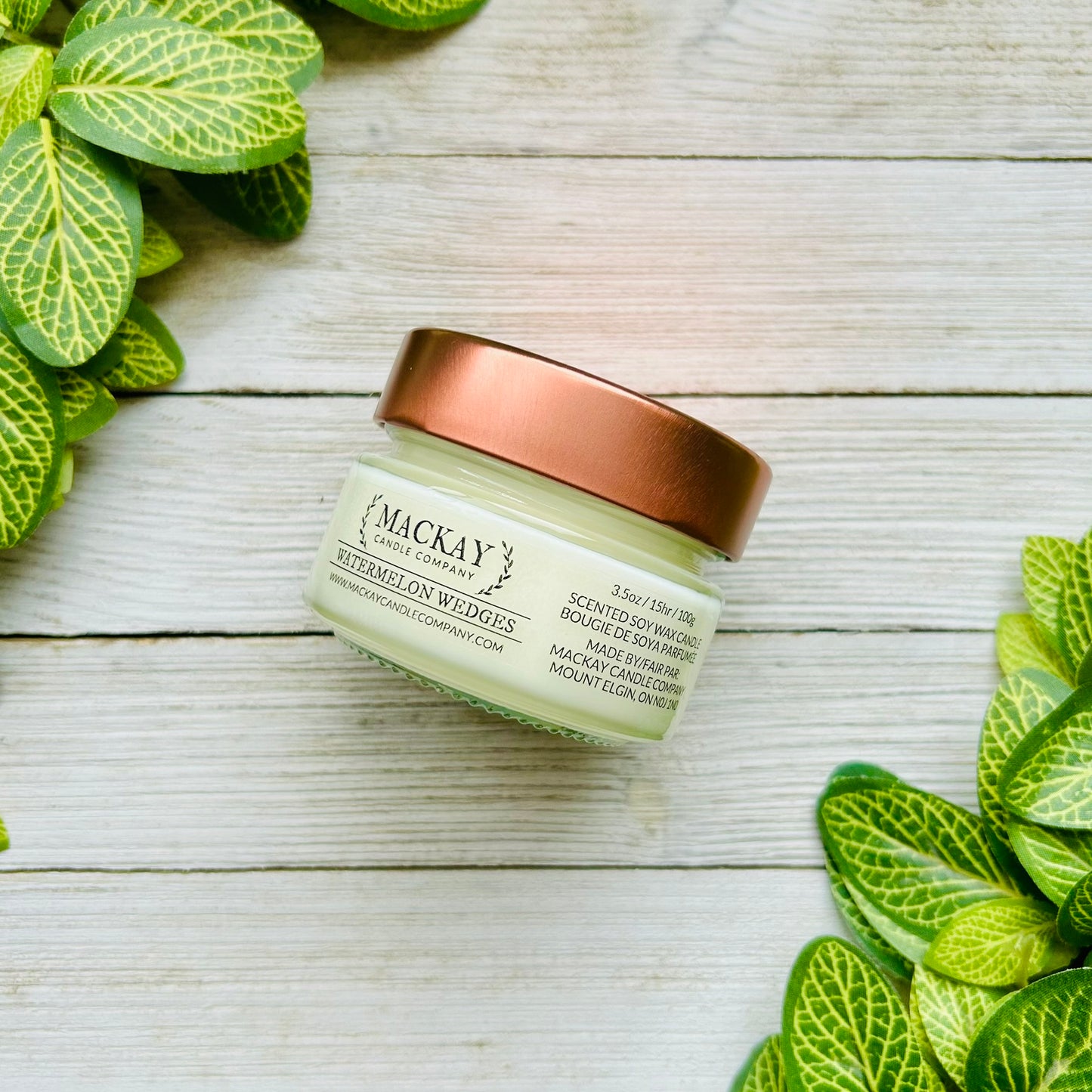 Watermelon Wedges Small Library Jar