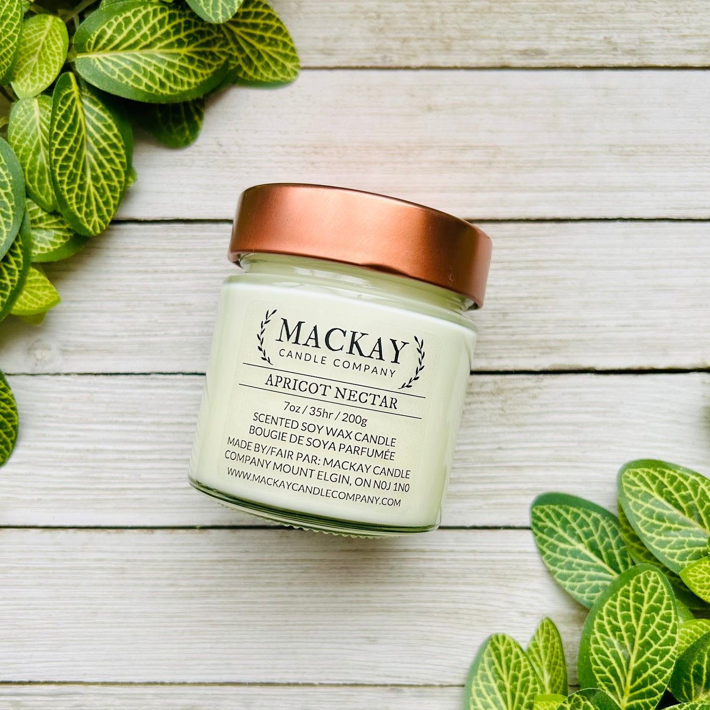 Apricot Nectar Medium Library Jar