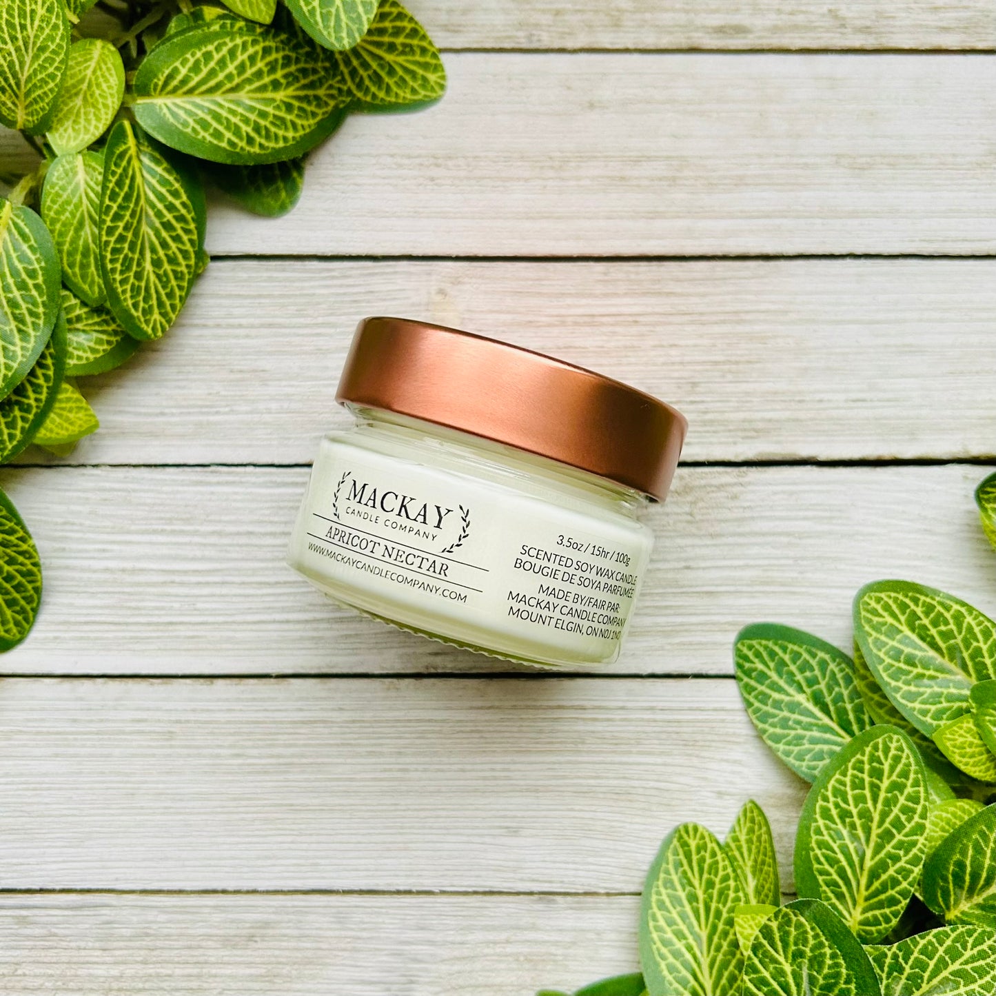 Apricot Nectar Small Library Jar