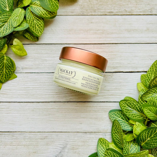 Citrus Sage Small Library Jar