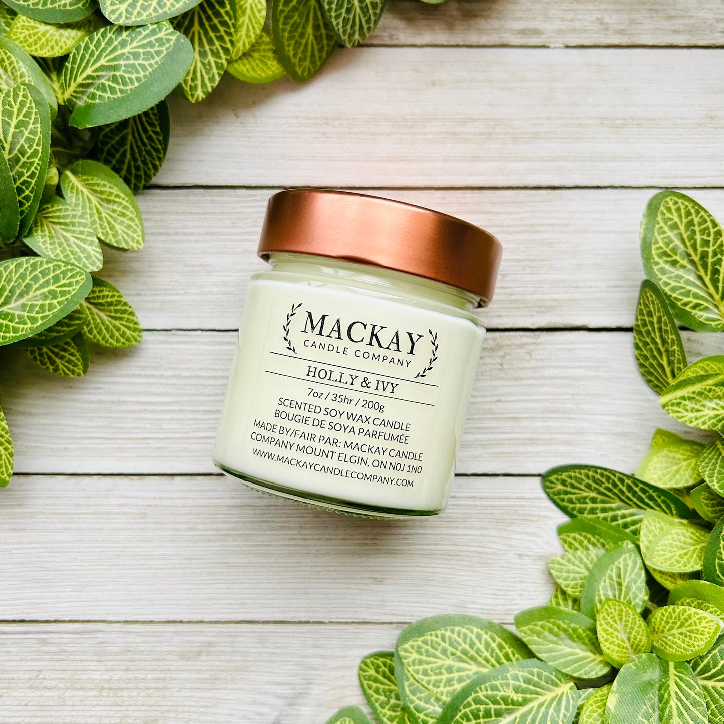 Holly & Ivy Medium Library Jar