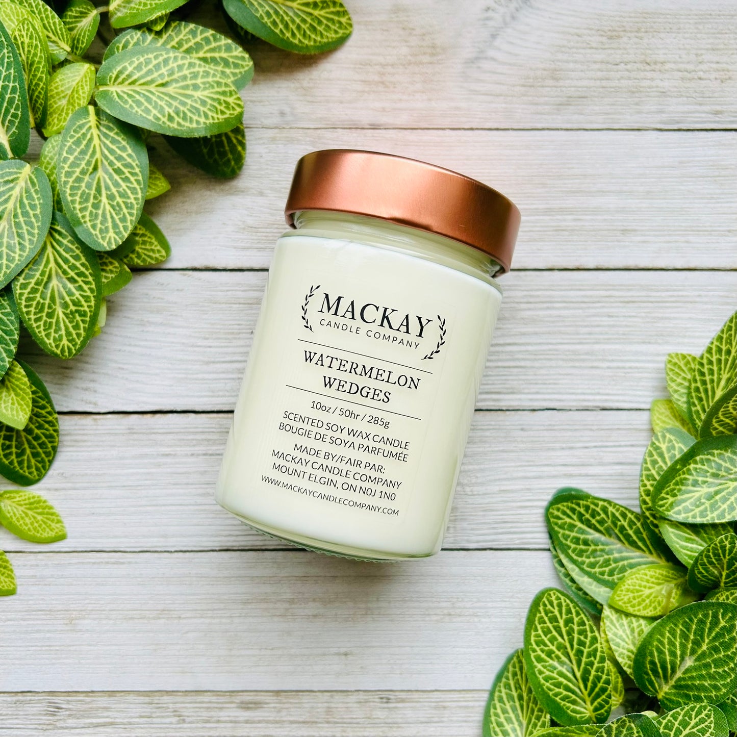 Watermelon Wedges Large Library Jar