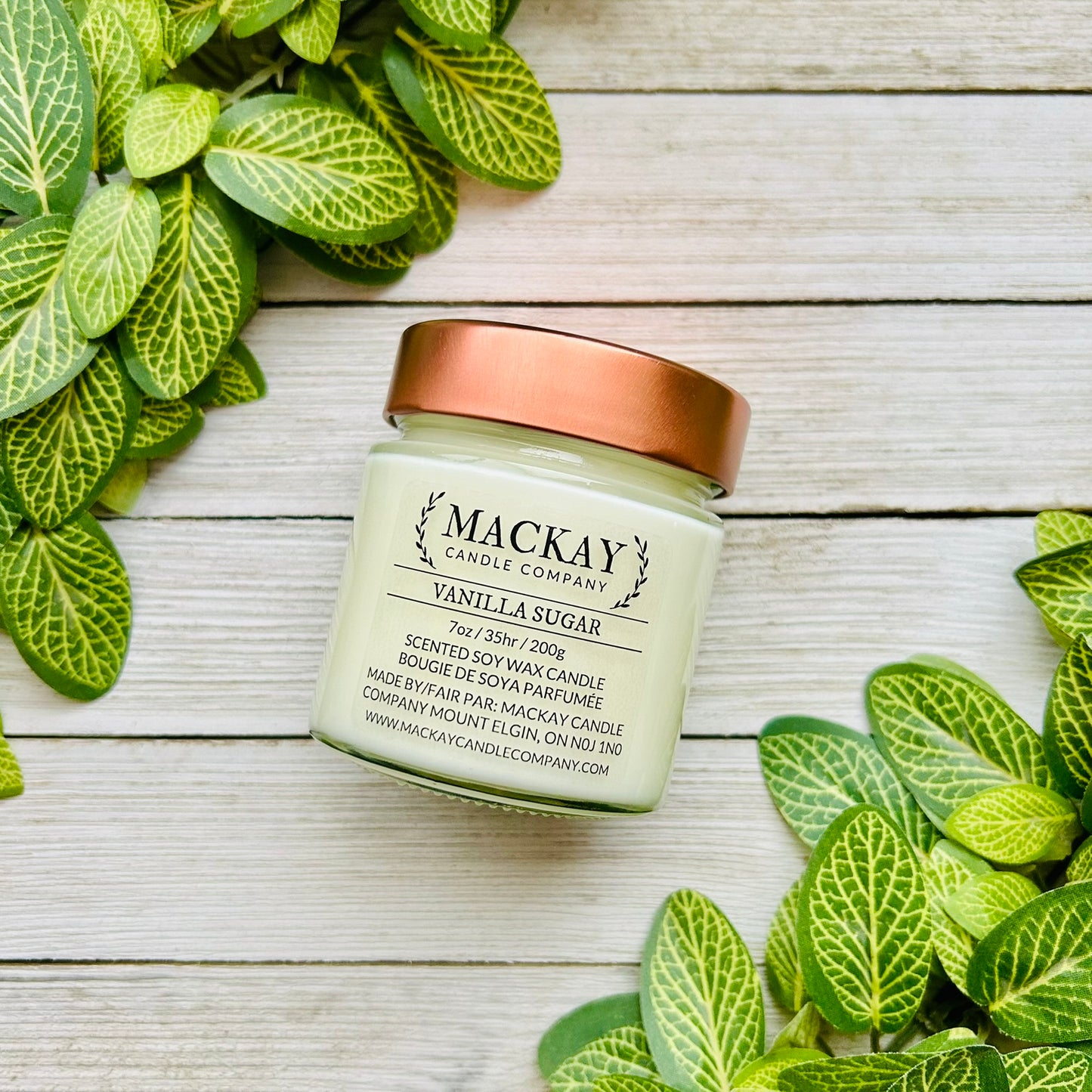 Vanilla Sugar Medium Library Jar