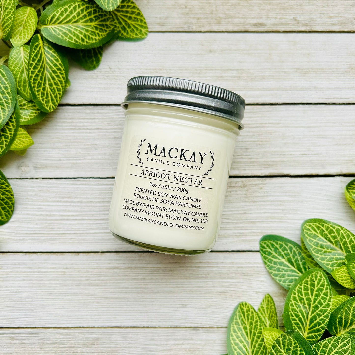 Apricot Nectar Small Mason Jar