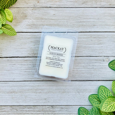 Ocean Breeze Wax Melt